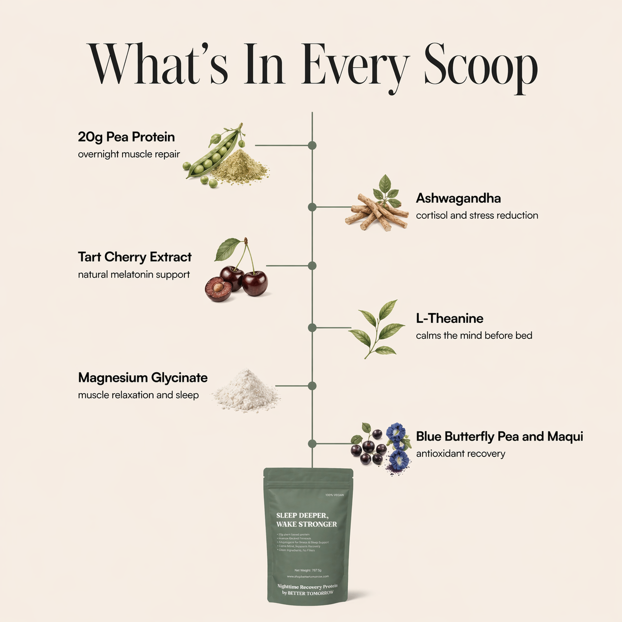 What's in every scoop: 20g pea protein, ashwagandha, tart cherry, magnesium glycinate, L-theanine, and blue butterfly pea & maqui