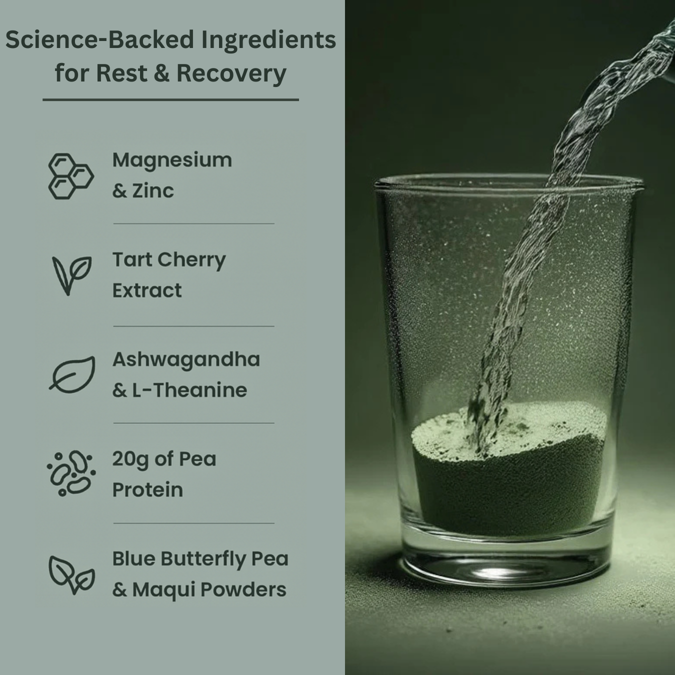 Nighttime Recovery Protein
